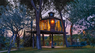 Relax tra le fronde, le case sull'albero che conquistano l'ecoturismo 