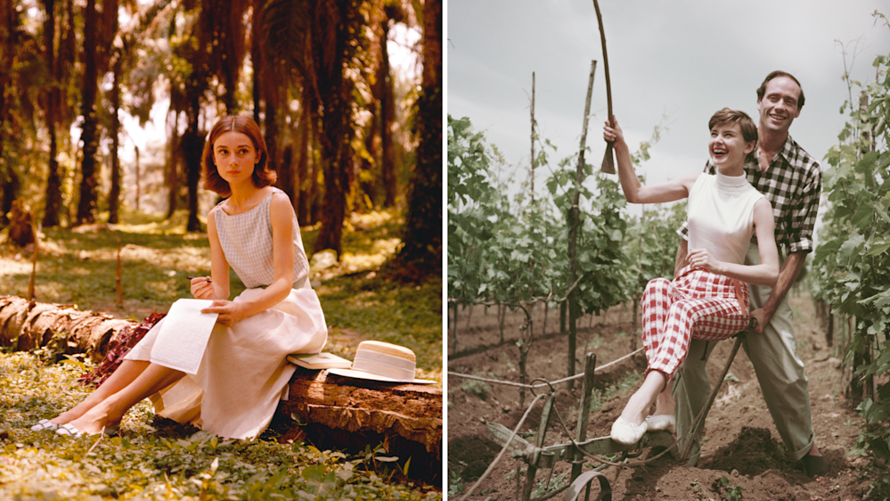 L'attrice Audrey Hepburn scrive una lettera a Palme Grove, 1955; Audrey insieme al marito, l'attore americano Mel Ferrer, mentre ara un vigneto in Italia,1955