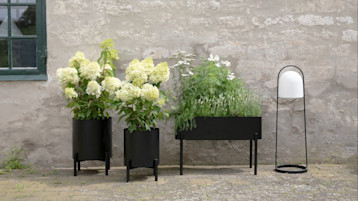 Perché il giardinaggio fa bene anche alla mente 