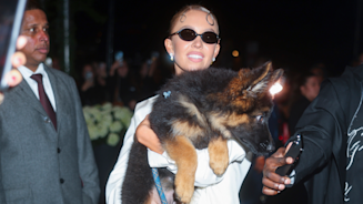 Giornata mondiale del cane: il migliore amico delle star è a 4 zampe