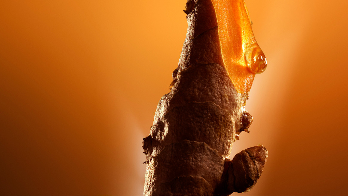Uno degli ingredienti star di Double Serum di Clarins e l’estratto di curcuma, in grado di stimolare le cinque funzioni vitali della pelle Uno degli ingredienti star di Double Serum di Clarins e l’estratto di curcuma, in grado di stimolare le cinque funzioni vitali della pelle