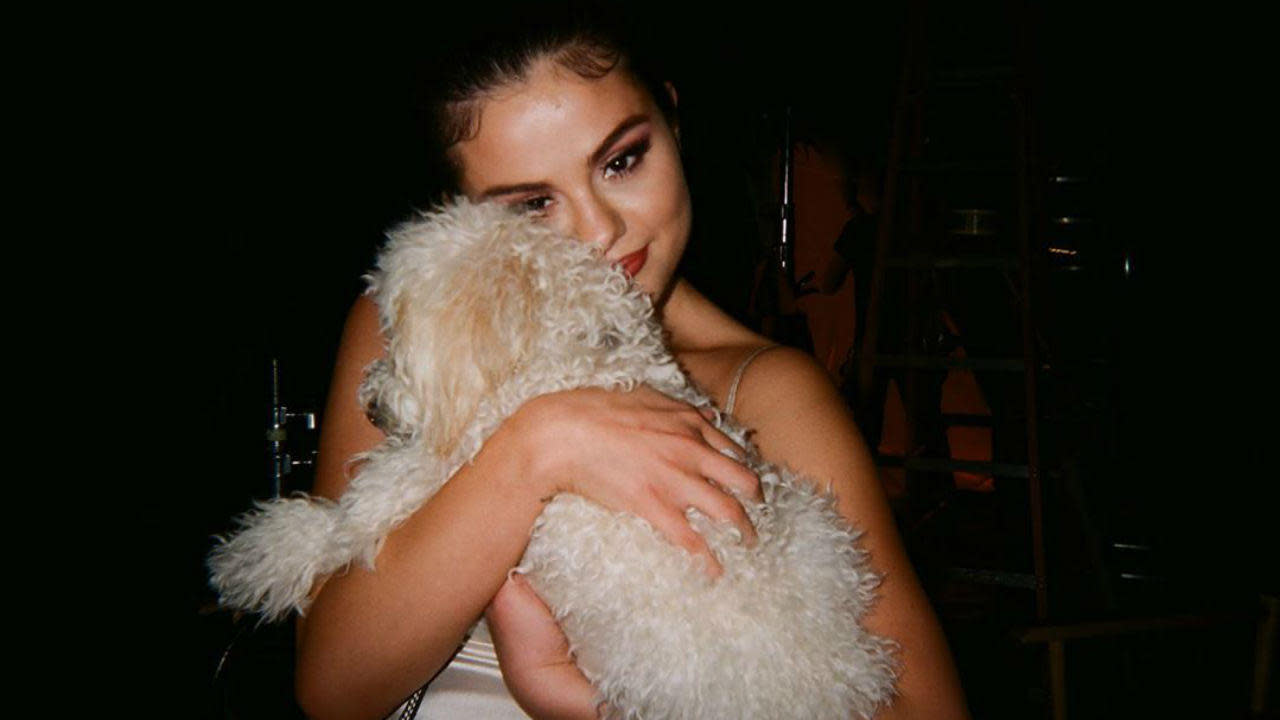 Libri, film, dischi e podcast i consigli da quarantena di Selena Gomez Mediaset Infinity Libri, film, dischi e podcast i consigli da quarantena di Selena Gomez Mediaset Infinity