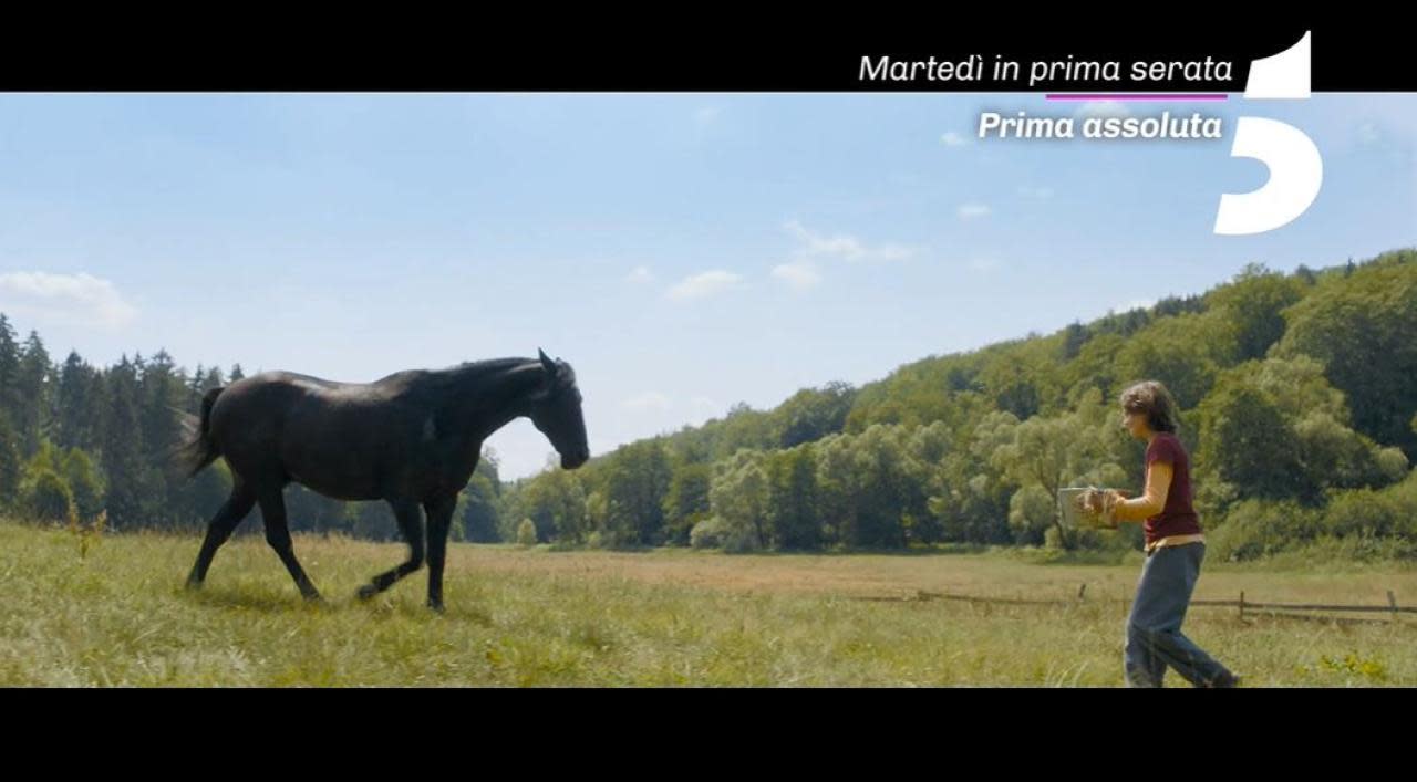 Windstorm 4: Il vento sta cambiando su Canale 5 e in streaming ...