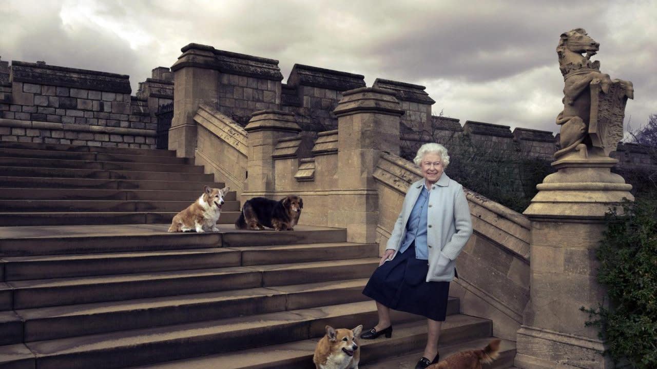 Le lettere "scritte" dai corgi della regina Elisabetta