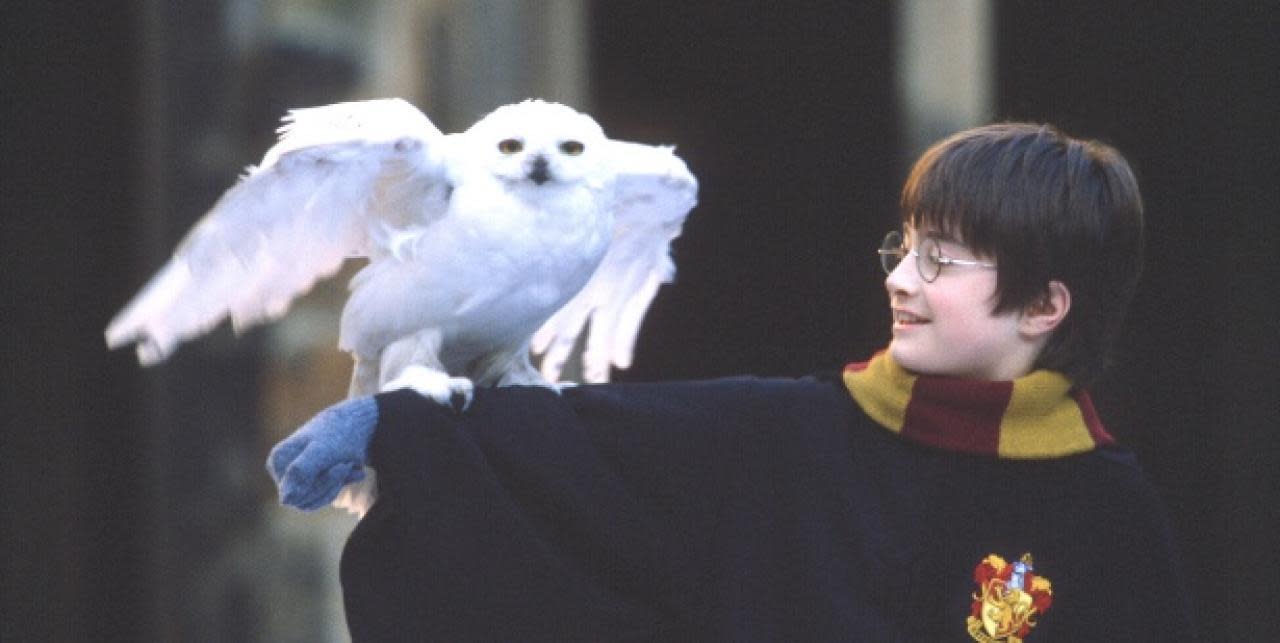 Harry Potter e la Pietra Filosofale: guarda gratis in streaming